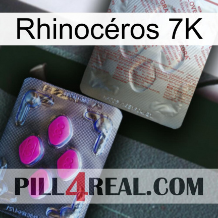 Rhinocéros 7K 38